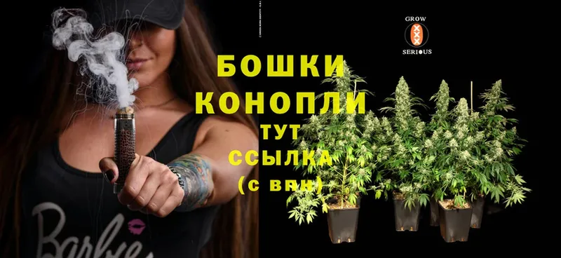 Шишки марихуана Ganja  Ногинск 